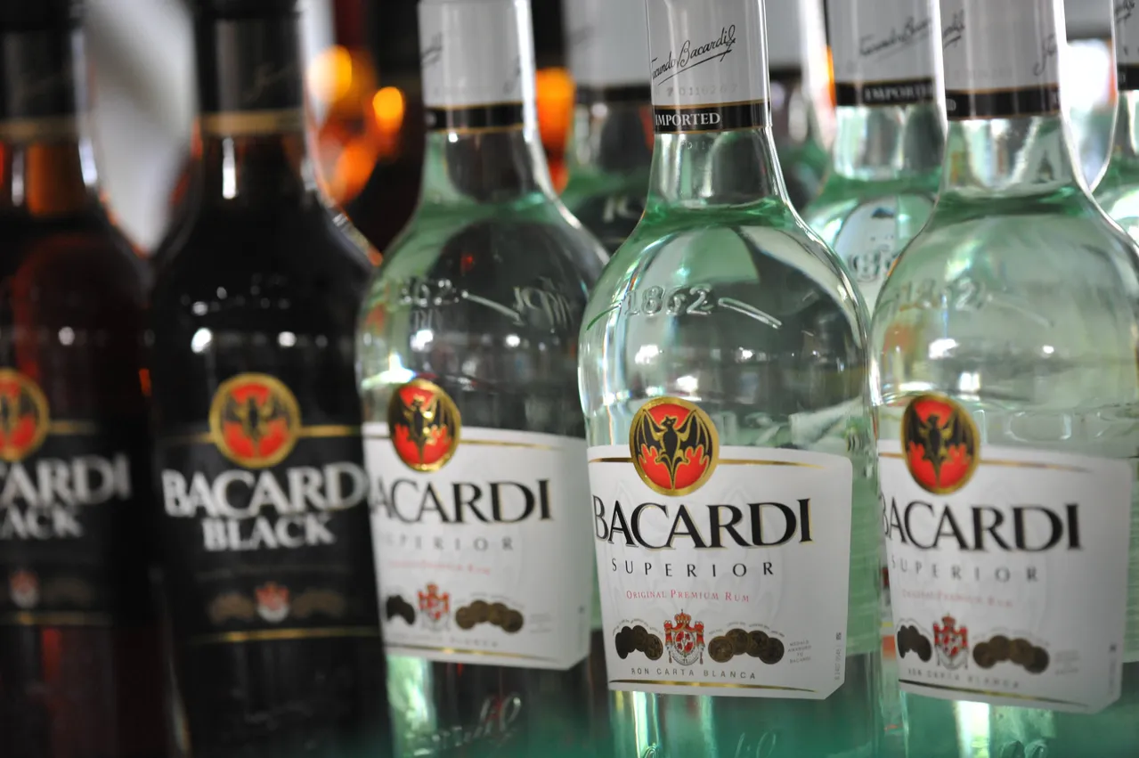 Bacardi z czym pić