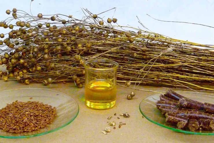 Przeterminowany Olej lniany