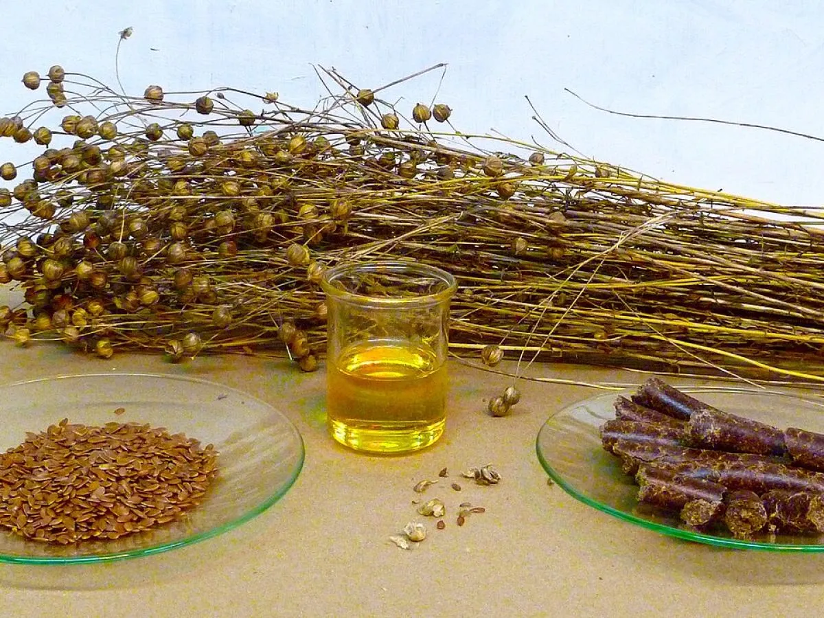 Przeterminowany Olej lniany