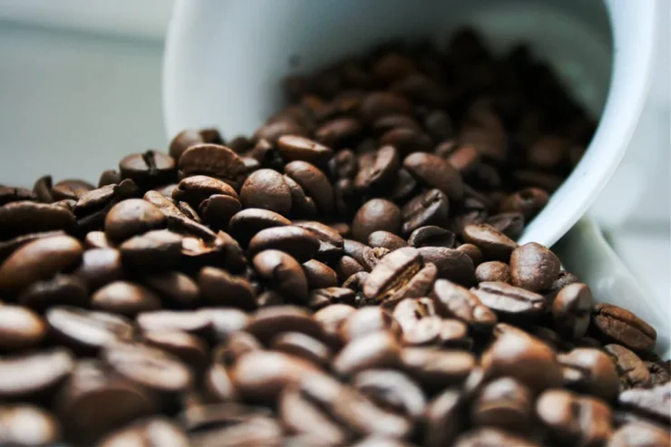 Cafe Panamera: palarnia kawy pod Warszawą stawia na świeżość i rzemiosło